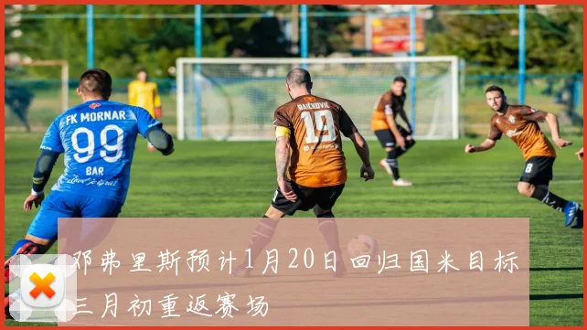 邓弗里斯预计1月20日回归国米目标三月初重返赛场
