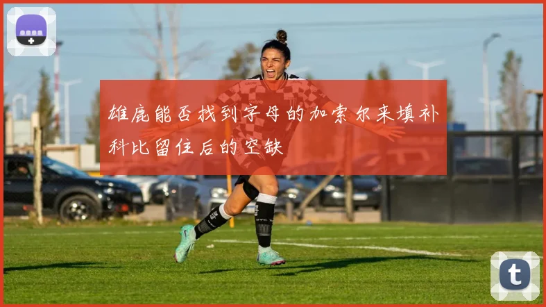 雄鹿能否找到字母的加索尔来填补科比留住后的空缺