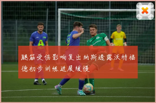腿筋受伤影响复出纳斯透露沃特福德初步训练进展缓慢