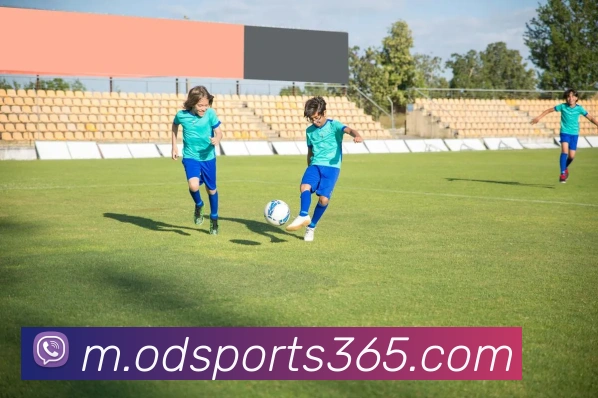 od体育APP 体育赛事宣传图